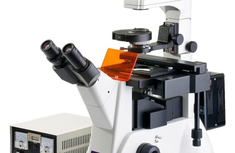 Factors to Consider While Buying the Microscope