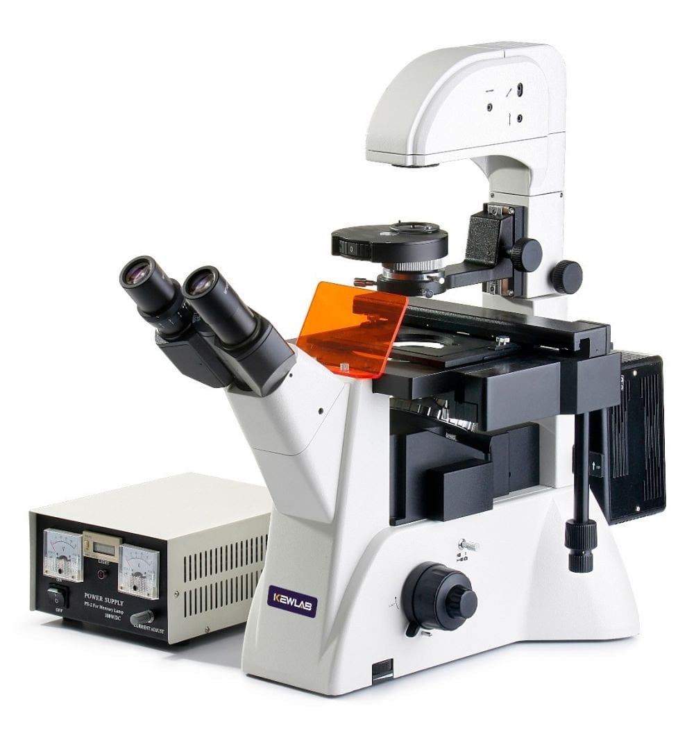 fluorescence microscopes