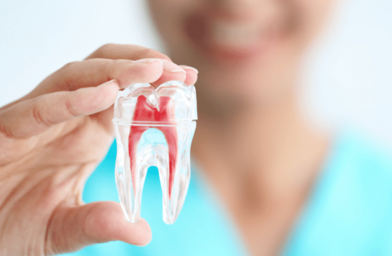 Learn About The Dentist’s Comprehensive Guide For Root Canal Therapy