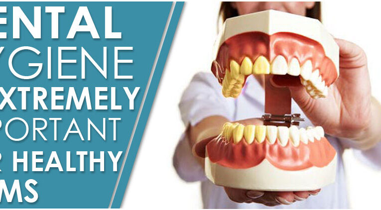 Why Do You Need A Family Dentist & How To Find The Best One?
